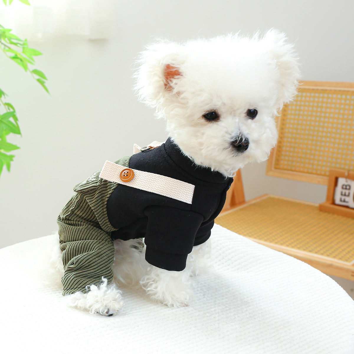 Pet Ring Dog Cat Clothes New Corduroy